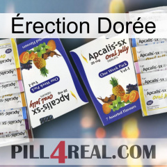Érection Dorée 12
